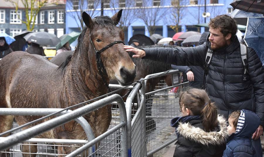 La Feria de Santa Lucía se ha celebrado este jueves con gran éxito en Zumarraga y Urretxu, con 414 puestos de venta de productos agrícolas, ganaderos, de repostería y artesanía.