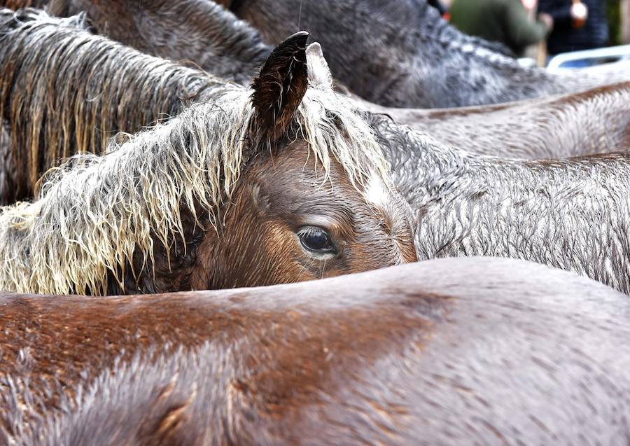 La Feria de Santa Lucía se ha celebrado este jueves con gran éxito en Zumarraga y Urretxu, con 414 puestos de venta de productos agrícolas, ganaderos, de repostería y artesanía.