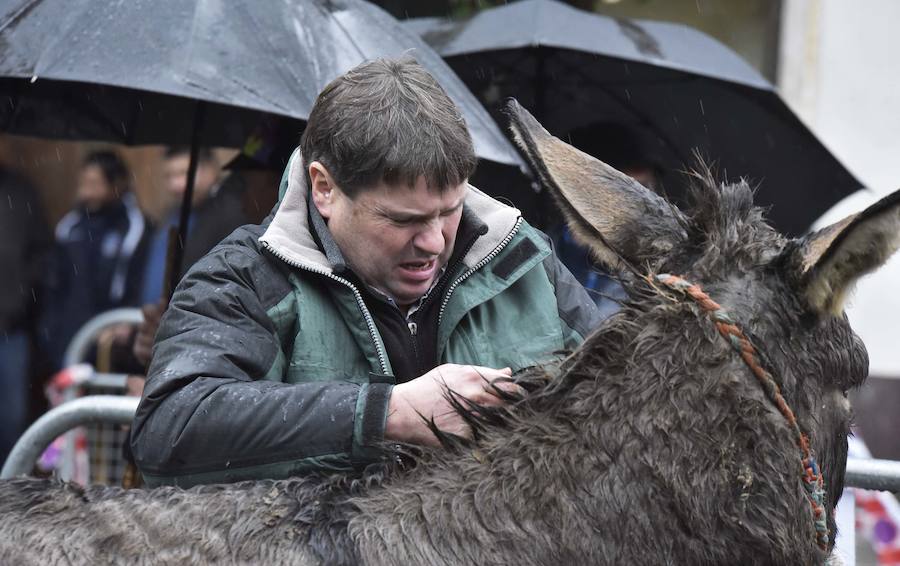 La Feria de Santa Lucía se ha celebrado este jueves con gran éxito en Zumarraga y Urretxu, con 414 puestos de venta de productos agrícolas, ganaderos, de repostería y artesanía.