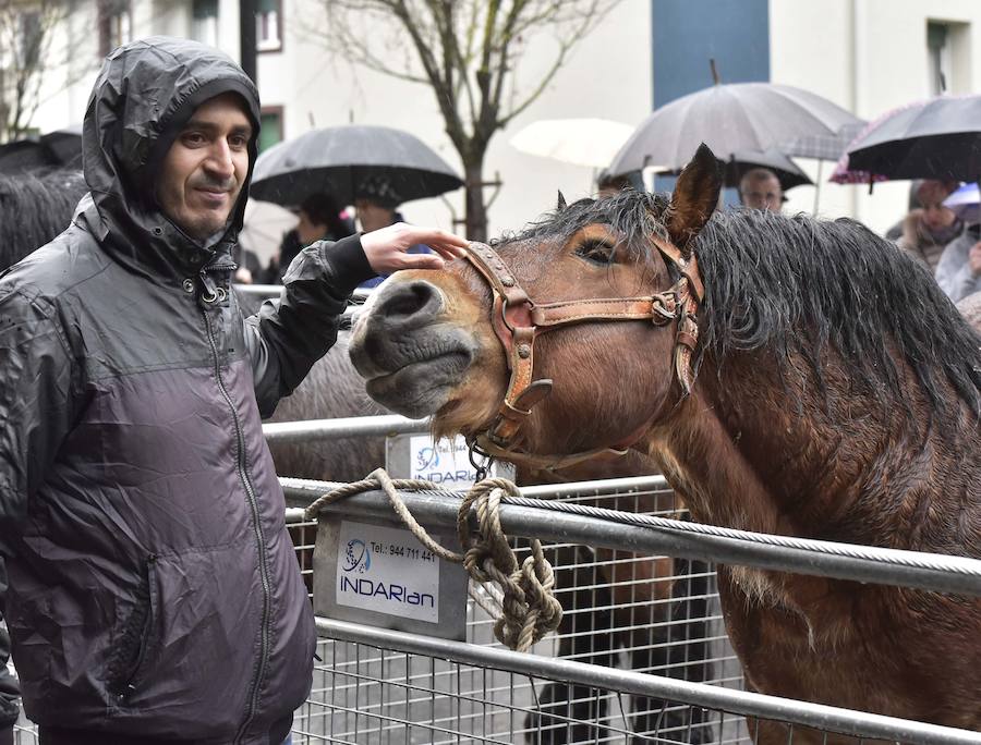 La Feria de Santa Lucía se ha celebrado este jueves con gran éxito en Zumarraga y Urretxu, con 414 puestos de venta de productos agrícolas, ganaderos, de repostería y artesanía.
