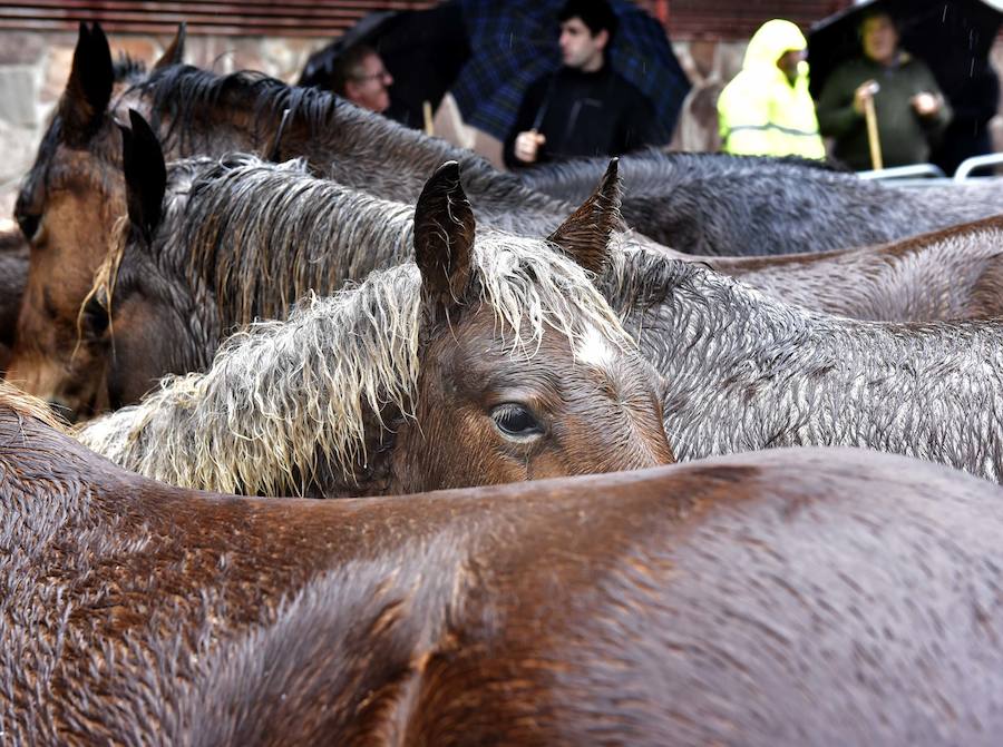 La Feria de Santa Lucía se ha celebrado este jueves con gran éxito en Zumarraga y Urretxu, con 414 puestos de venta de productos agrícolas, ganaderos, de repostería y artesanía.