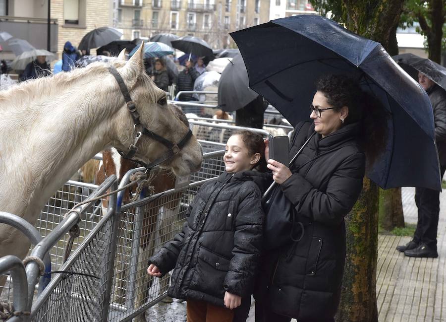 La Feria de Santa Lucía se ha celebrado este jueves con gran éxito en Zumarraga y Urretxu, con 414 puestos de venta de productos agrícolas, ganaderos, de repostería y artesanía.