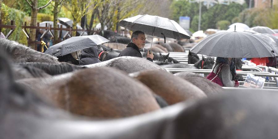 La Feria de Santa Lucía se ha celebrado este jueves con gran éxito en Zumarraga y Urretxu, con 414 puestos de venta de productos agrícolas, ganaderos, de repostería y artesanía.