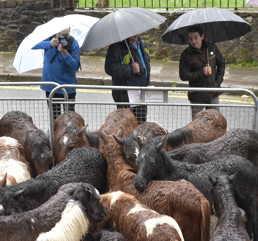 La Feria de Santa Lucía se ha celebrado este jueves con gran éxito en Zumarraga y Urretxu, con 414 puestos de venta de productos agrícolas, ganaderos, de repostería y artesanía.