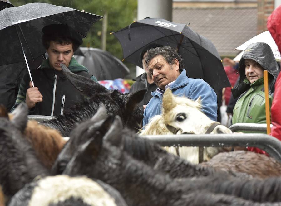 La Feria de Santa Lucía se ha celebrado este jueves con gran éxito en Zumarraga y Urretxu, con 414 puestos de venta de productos agrícolas, ganaderos, de repostería y artesanía.