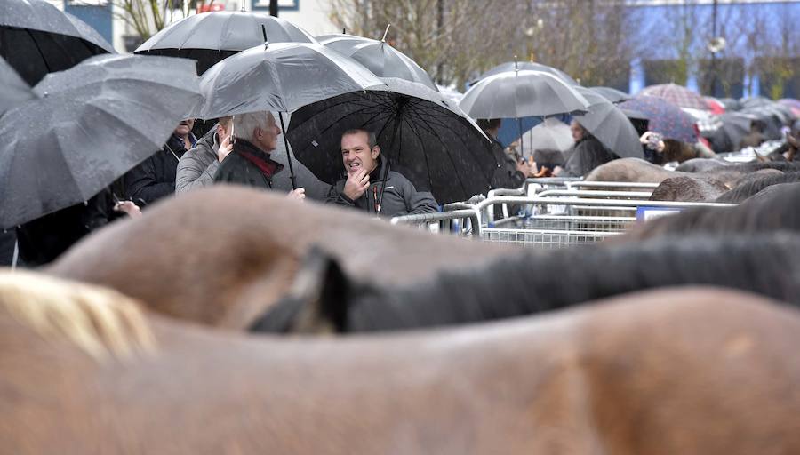 La Feria de Santa Lucía se ha celebrado este jueves con gran éxito en Zumarraga y Urretxu, con 414 puestos de venta de productos agrícolas, ganaderos, de repostería y artesanía.