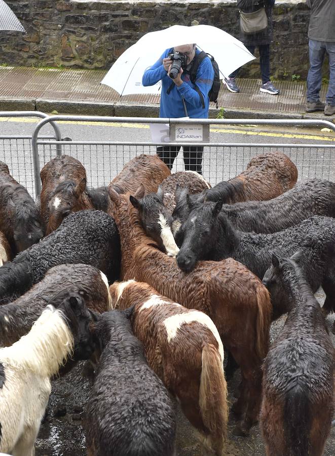 La Feria de Santa Lucía se ha celebrado este jueves con gran éxito en Zumarraga y Urretxu, con 414 puestos de venta de productos agrícolas, ganaderos, de repostería y artesanía.