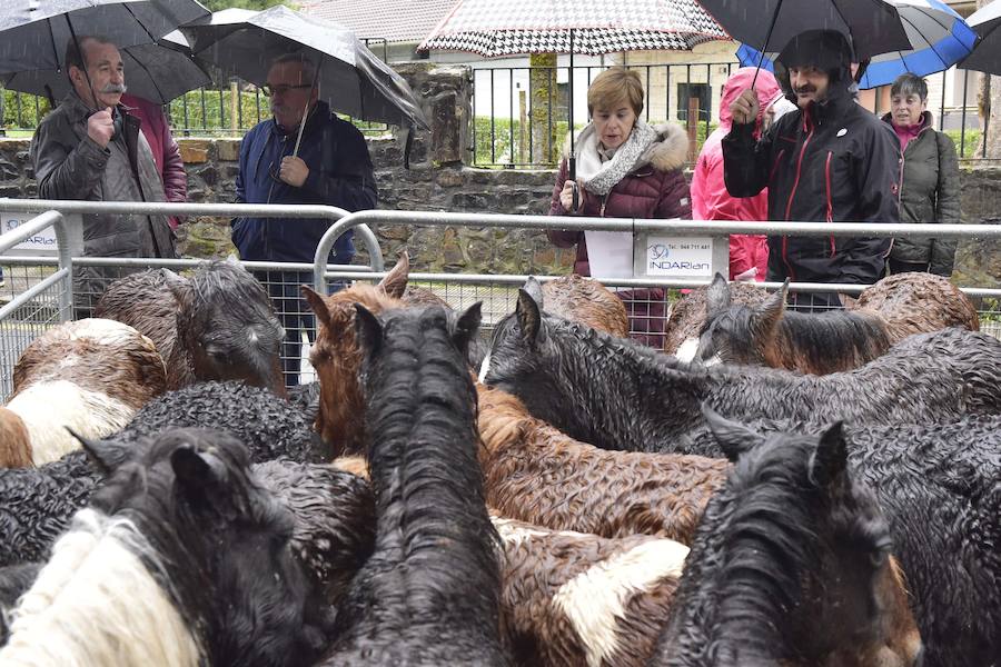 La Feria de Santa Lucía se ha celebrado este jueves con gran éxito en Zumarraga y Urretxu, con 414 puestos de venta de productos agrícolas, ganaderos, de repostería y artesanía.