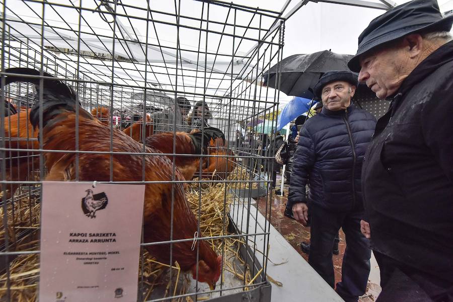 La Feria de Santa Lucía se ha celebrado este jueves con gran éxito en Zumarraga y Urretxu, con 414 puestos de venta de productos agrícolas, ganaderos, de repostería y artesanía.