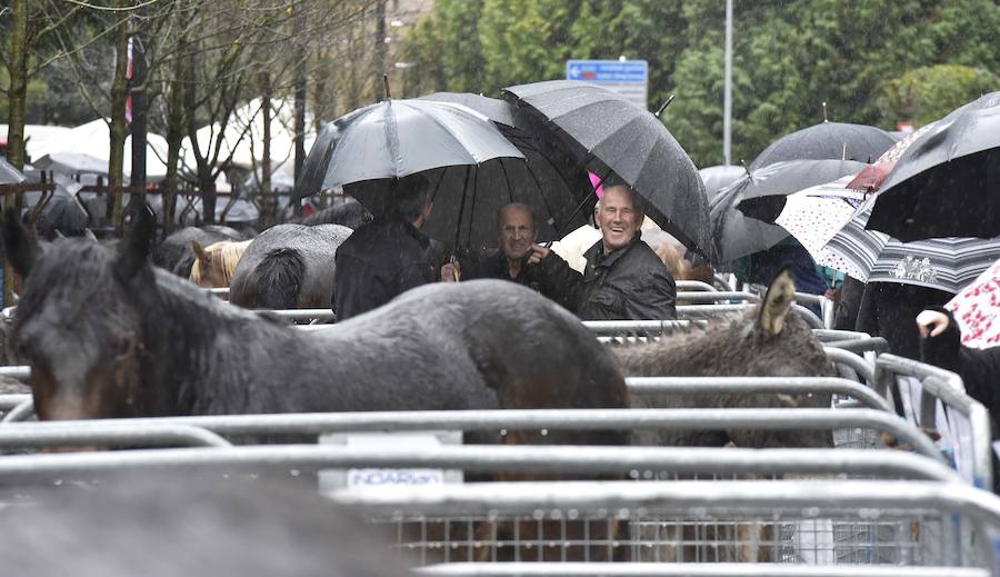 La Feria de Santa Lucía se ha celebrado este jueves con gran éxito en Zumarraga y Urretxu, con 414 puestos de venta de productos agrícolas, ganaderos, de repostería y artesanía.