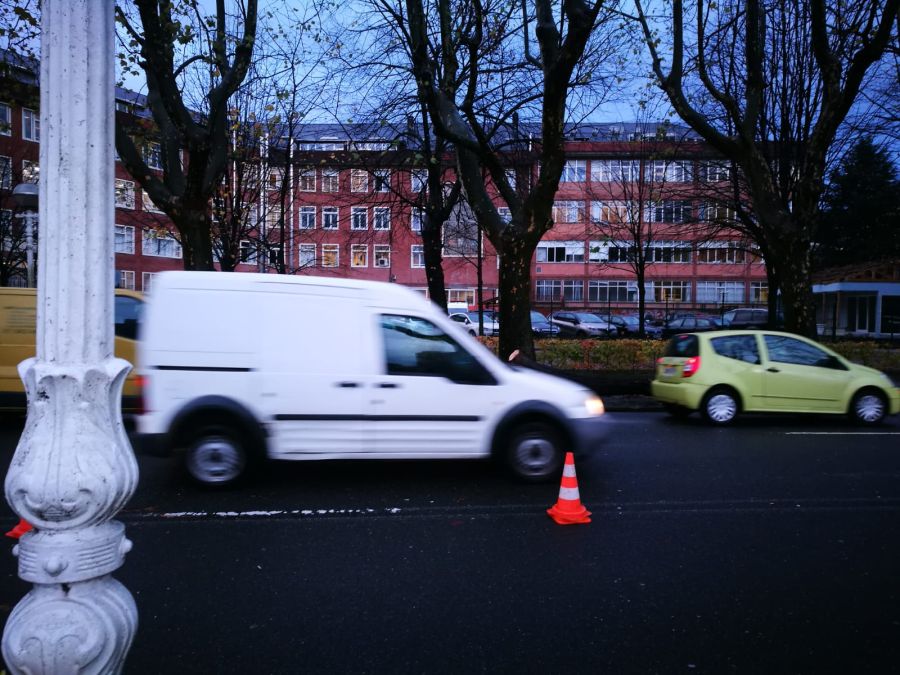 Una conductora ha resultado ilesa tras caer esta mañana un árbol en el paseo de Bizkaia de San Sebastián