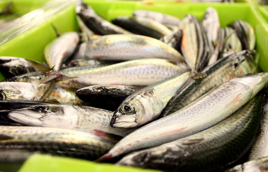 La lonja de Pasaia vivió ayer una agitada madrugada, con decenas de mayoristas, minoristas y pescateros en busca del mejor producto que trajeron los barcos.