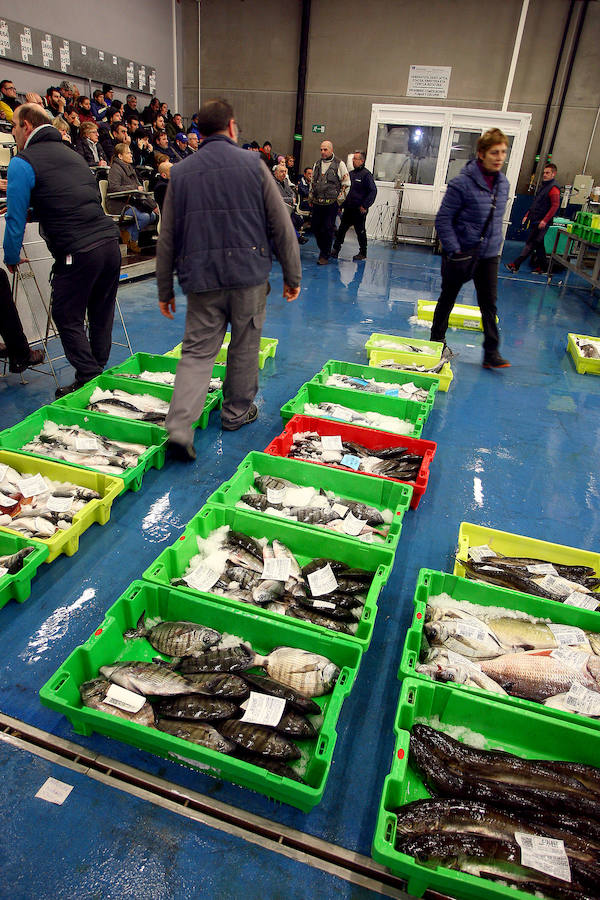 La lonja de Pasaia vivió ayer una agitada madrugada, con decenas de mayoristas, minoristas y pescateros en busca del mejor producto que trajeron los barcos.