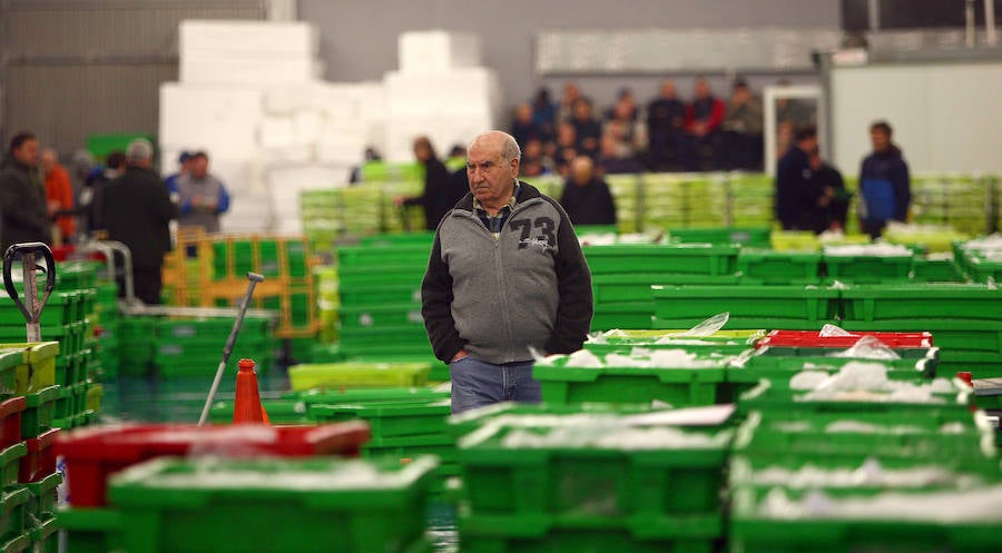 La lonja de Pasaia vivió ayer una agitada madrugada, con decenas de mayoristas, minoristas y pescateros en busca del mejor producto que trajeron los barcos.