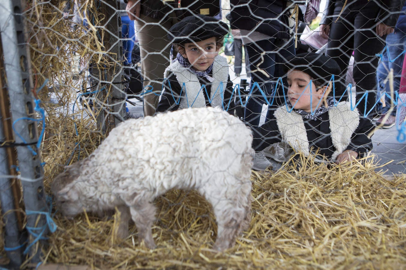 En la Plaza de Urdanibia se ha celebrado la tradicional feria de Santo Tomás con el concurso de Verduras, Animales y Miel y con la actuación de grupos de Dantza y Trikitixas.