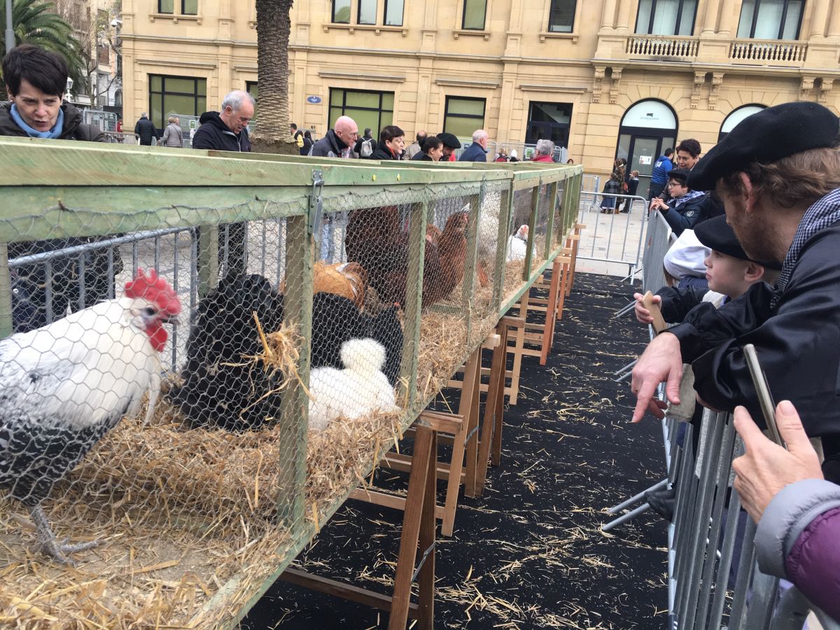 Donostia se viste de tradición y buen ambiente por Santo Tomás. Los diferentes puestos de talos y txistorra funcionan a pleno rendimiento desde primera hora, y los puestos de verduras, frutas, reposteria, pan y artesanías contribuyen a dar color a la ciudad. 