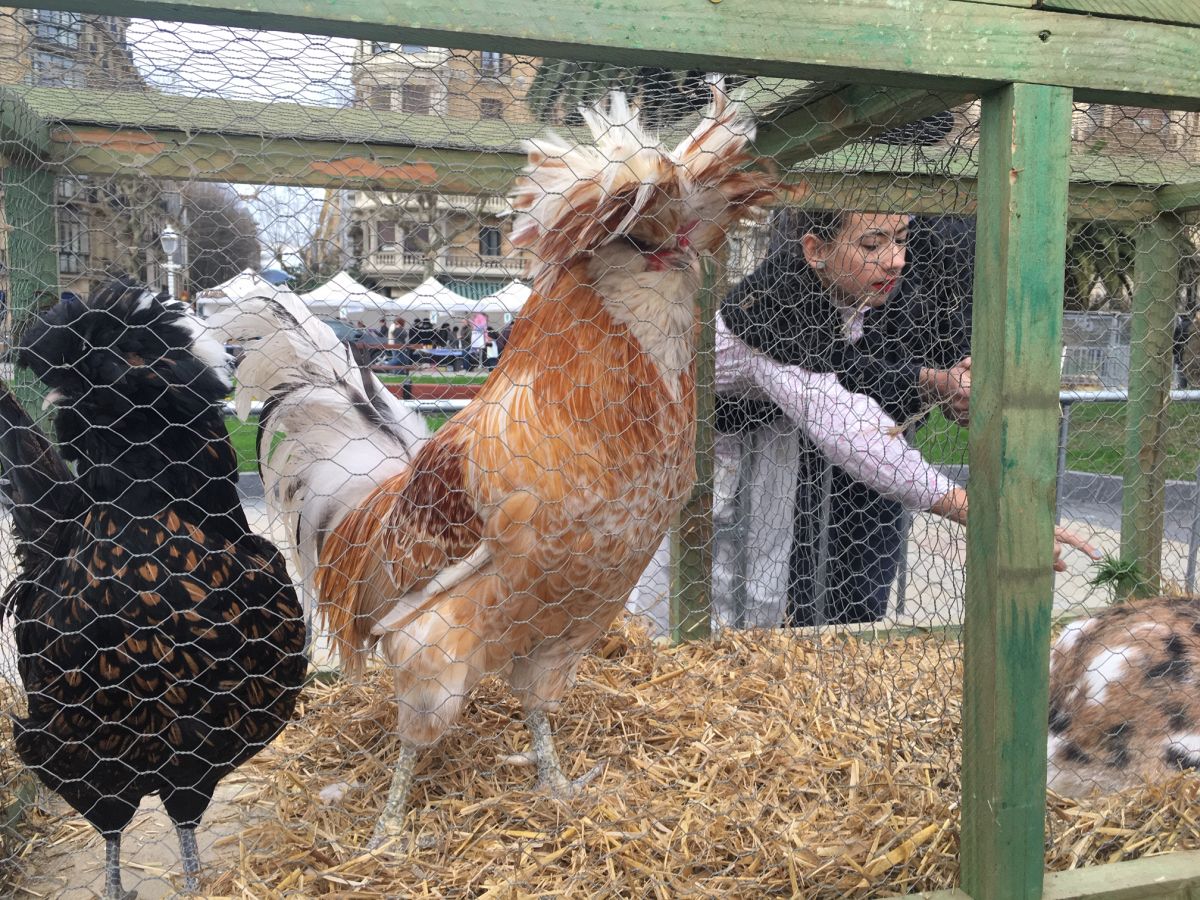 Donostia se viste de tradición y buen ambiente por Santo Tomás. Los diferentes puestos de talos y txistorra funcionan a pleno rendimiento desde primera hora, y los puestos de verduras, frutas, reposteria, pan y artesanías contribuyen a dar color a la ciudad. 