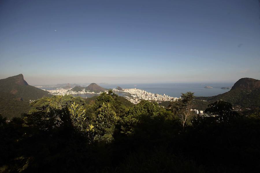 Ya ha comenzado ell verano austral. Pero las playas de Río de Janeiro ya están llenas de bañistas desde hace unas semanas. Y es que el calor aprieta. El martes los termómetros alcanzaron 40,7 grados en la zona oeste de la ciudad, en el que ha sido el día más caluroso en varios años, con una sensación térmica de 45 grados. El mar está calmado y apenas hay olas en las transparentes aguas. Las imágenes han sido tomadas en la Floresta de Tijuca, el bosque urbano más grande del mundo, y en los arenales del oeste de Río.