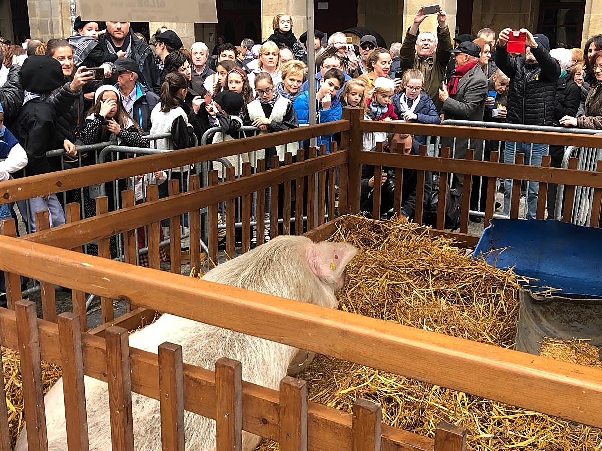 Donostia se viste de tradición y buen ambiente por Santo Tomás. Los diferentes puestos de talos y txistorra funcionan a pleno rendimiento desde primera hora, y los puestos de verduras, frutas, reposteria, pan y artesanías contribuyen a dar color a la ciudad. 