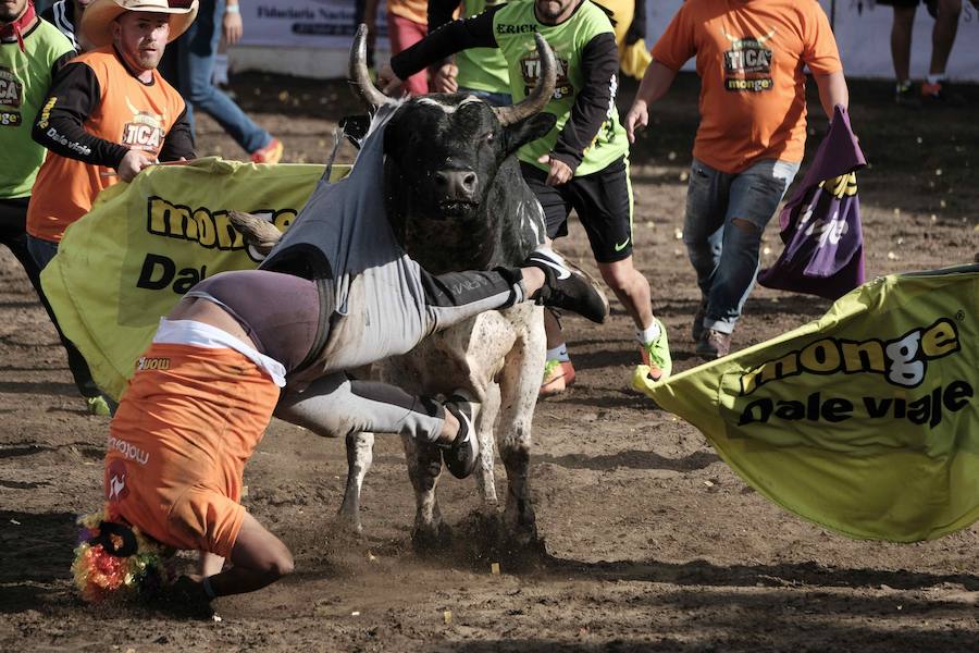 «Toreros improvisados» como se les conocen en Costa Rica, participan en una corrida de toros durante la tradicional Fiesta de Zapote, la cual se celebra anualmente entre la última semana de diciembre y la primera de enero, hoy en San José (Costa Rica).