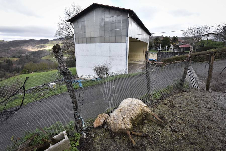 Este barrio de Tolosa se halla en las faldas septentrionales del Balerdi y cuenta con una acusada individualidad geográfica