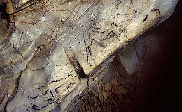 Animales pintados en Las Monedas. / PEDRO SAURA