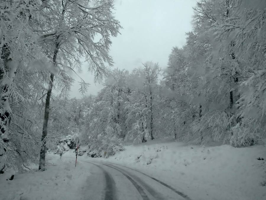 La nieve ha llegado a los montes de Gipuzkoa y ya complica la circulación en varios puntos del territorio, como en Pagozelai. Los camiones con sal ya están operativos. También ha hecho presencia en las campas de Urbia y en Aralar. La lluvia ha sido la protagonista, asimismo, del mal tiempo este martes.