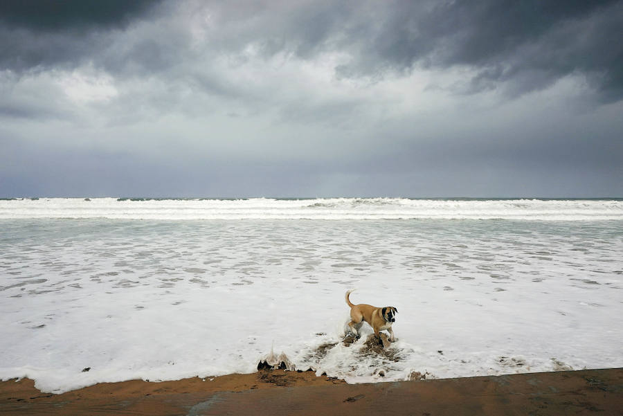 El oleaje no ha sido este miércoles tan fuerte en Zarautz pero el embate ha dejado bellas estampas.