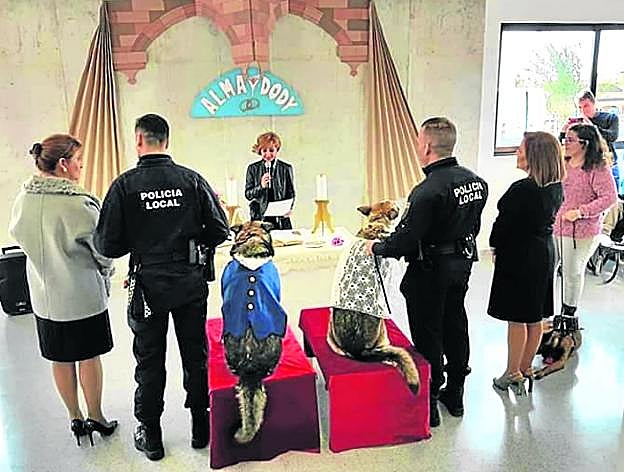 Imagen de la boda, en la que no faltó de nada, ni siquiera la concejala como maestra de ceremonias y los canes vestidos de novios. 