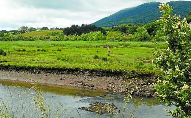 La recogida se llevará a cabo en las marismas de Jaizubia. 