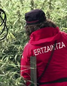 Imagen secundaria 2 - La empresa de Zumaia.