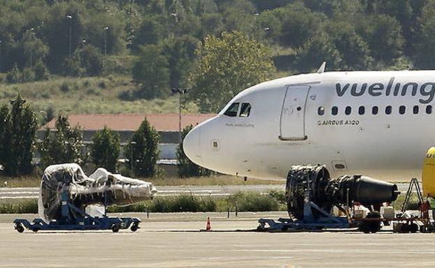 «No nos hemos comido un buitre de chiripa», protesta un piloto de un avión a la torre al aterrizar en el aeropuerto de Loiu