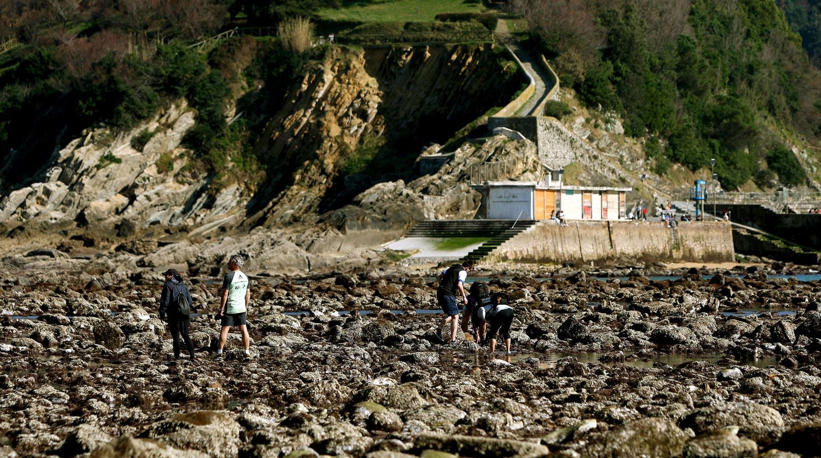 Las mareas vivas de estos días están dejando imágenes impresionantes en la costa guipuzcoana. Este jueves por la mañana el fondo marino de la playa donostiarra de Ondarreta ha quedado a la vista de los curiosos.