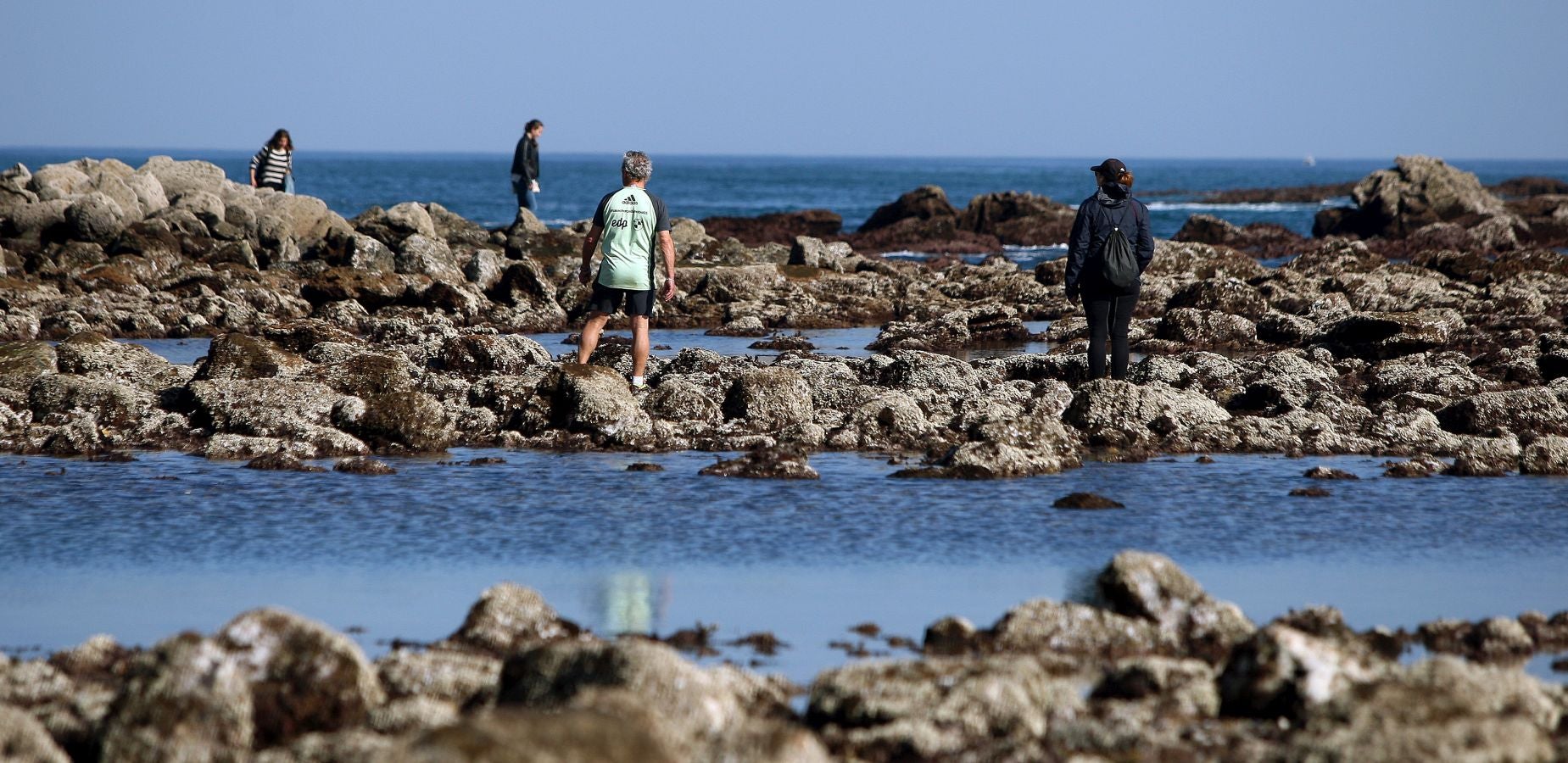 Las mareas vivas de estos días están dejando imágenes impresionantes en la costa guipuzcoana. Este jueves por la mañana el fondo marino de la playa donostiarra de Ondarreta ha quedado a la vista de los curiosos.
