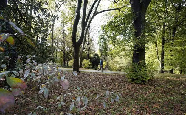 Detenido un hombre que se masturbaba ante mujeres en el parque de Cristina Enea