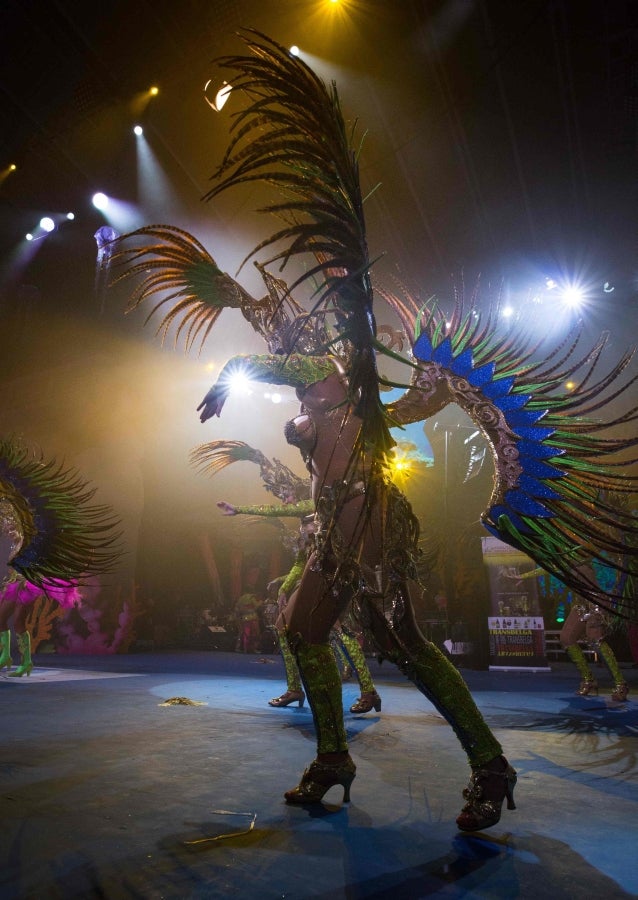 Los carnavales de Santa Cruz de Tenerife son unas de las celebraciones más conocidas a nivel mundial. Así, el evento, de un mes de duración, comenzó el 1 de febrero y finaliza el 10 de marzo con orquestas que tocan ritmos caribeños y brasileños con actuaciones que van desde la elección de la Reina del Carnaval, la Reina menor y la Reina mayor, bandas callejeras satíricas, comparsas y hasta actuaciones por las calles. 