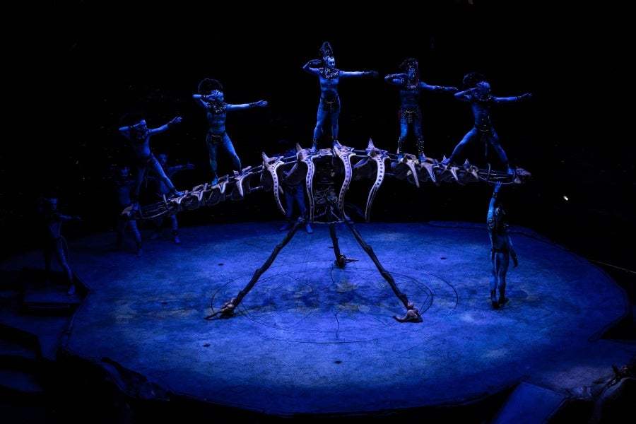 Uno de los circos más relevantes del mundo abre sus puertas y muestra lo que se esconde detrás de la magia del maquillaje, de los trajes personalizados y las increíbles coreografías. El Circo del Sol presenta su último trabajo: 'Turuk, el primer vuelo', inspirado en la película de James Cameron. 