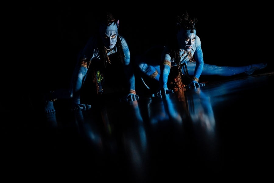 Uno de los circos más relevantes del mundo abre sus puertas y muestra lo que se esconde detrás de la magia del maquillaje, de los trajes personalizados y las increíbles coreografías. El Circo del Sol presenta su último trabajo: 'Turuk, el primer vuelo', inspirado en la película de James Cameron. 