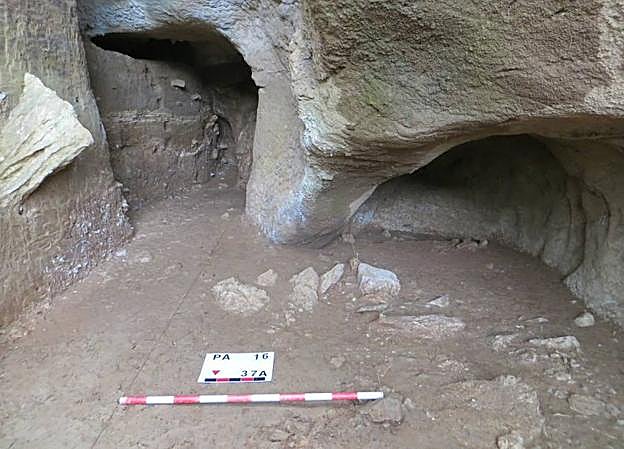 Imagen principal - Imágenes de la cavidad en la que se han realizado los hallazgos, de las piezas mostradas en la presentación, (a la derecha, tres piezas dentarias de oso), y de trabajos de excavación., 