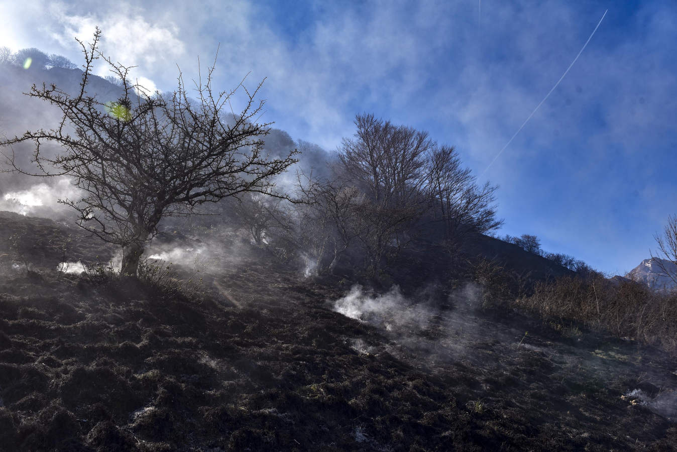 Hacia la una de la madrugada de este miércoles, los bomberos han tenido que actuar de urgencia, ya que el fuego ha llegado rápidamente a zonas cercanas a Bedaio y a la cima del monte Zabalegi.
