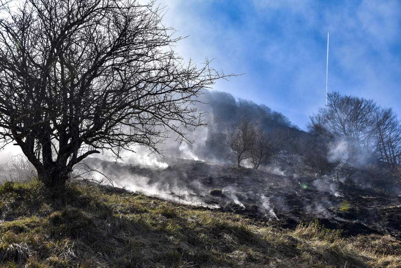 Hacia la una de la madrugada de este miércoles, los bomberos han tenido que actuar de urgencia, ya que el fuego ha llegado rápidamente a zonas cercanas a Bedaio y a la cima del monte Zabalegi.