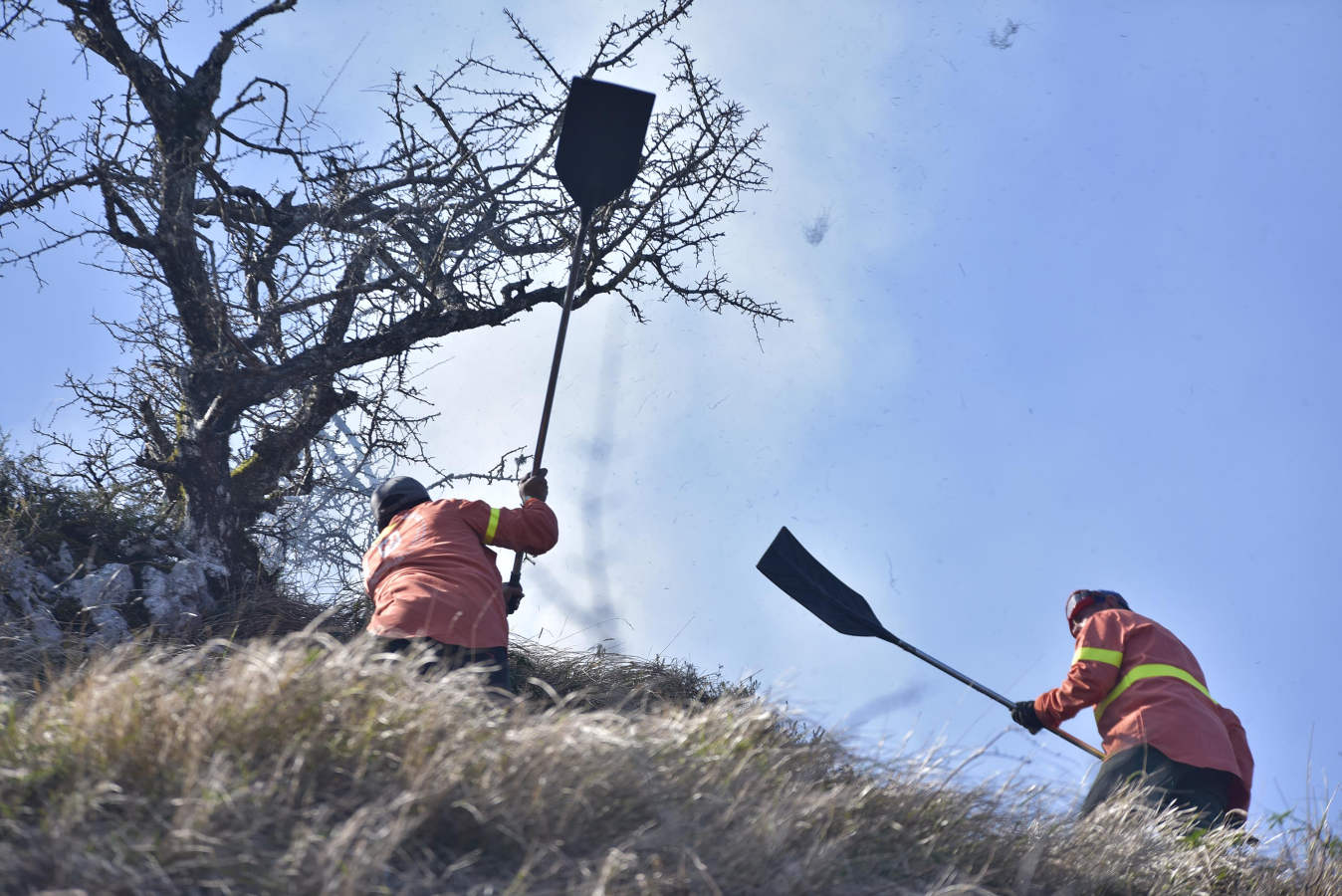 Hacia la una de la madrugada de este miércoles, los bomberos han tenido que actuar de urgencia, ya que el fuego ha llegado rápidamente a zonas cercanas a Bedaio y a la cima del monte Zabalegi.