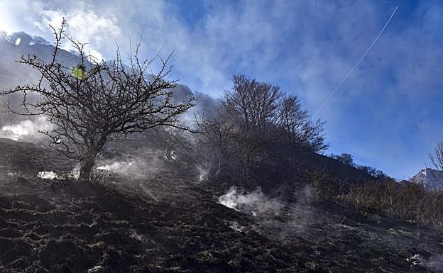 Galería. Las imágenes del incendio de Aralar.