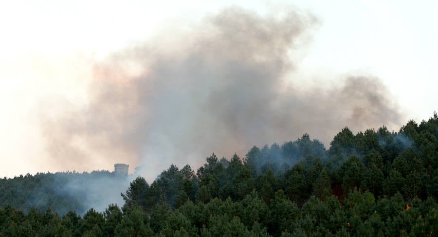 Un incendio forestal ha afectado este miércoles por la tarde a una zona del monte Jaizkibel.