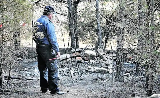 Un joven de 19 años fallece calcinado en un incendio forestal desatado la noche del sábado en la localidad de Villabuena de Álava 