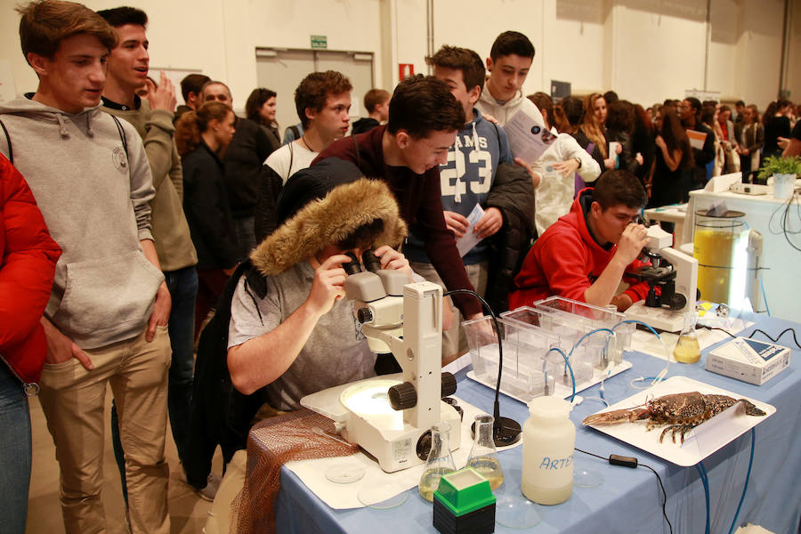 epresentantes de los 19 centros educativos que participan en la nueva edición del Salón de Educación Gela en el centro cultural Tabakalera de San Sebastián.