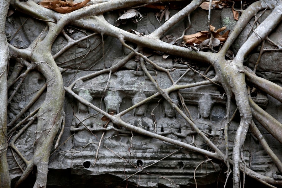 El templo de Ta Prohm se esconde en el frondoso bosque de la provincia de Siem Reap, Camboya. La construcción, de finales del siglo XII, es famosa por integrarse con la naturaleza y por haber sido escenario del vídeo juego de Tom Raider. 
