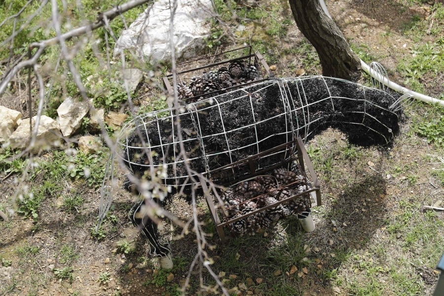 Un violinista, un granjero que labra el campo y un gallo con hélice en una cabeza. Todos fueron una vez cohetes, proyectiles de artillería o balas que cayeron en los campos de batalla del Líbano. Como recuerdo de la Historia reciente, el artista Charles Nassar ha transformado los restos oscuros y desordenados de la guerra en esculturas. «Odio la metralla pero, al mismo tiempo, me encanta», confesó el escultor.