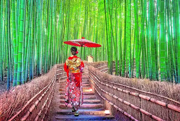 Una mujer ataviada con el kimono tradicionaljaponés pasea por el Bosque de Bambú de Sagano-Arashiyama, en las afueras de Kioto. 
