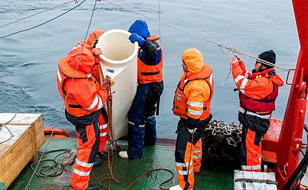Imagen principal - Científicos del Centro IDEAL de Chile lanzando una trampa de sedimentos con sensores para captar registros de CO2 en la aguas de la bahía Sur de la isla Doumer, en la Antártida. 
